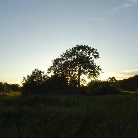 Ferienhaus 6 Person In Ebeltoft-by Traum