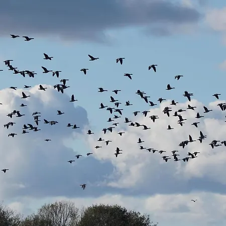 6 Person In Ebeltoft-by Traum *