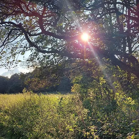 6 Person In Ebeltoft-by Traum Ferienhaus *