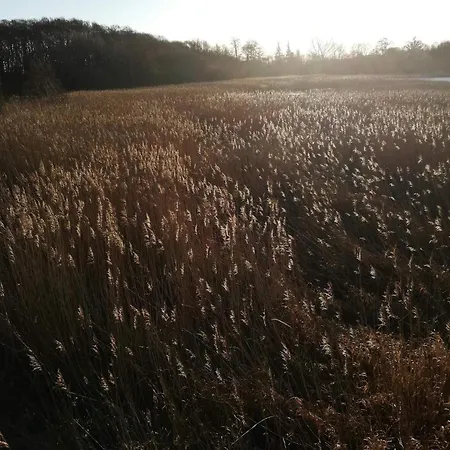 Ferienhaus 6 Person In Ebeltoft-by Traum *