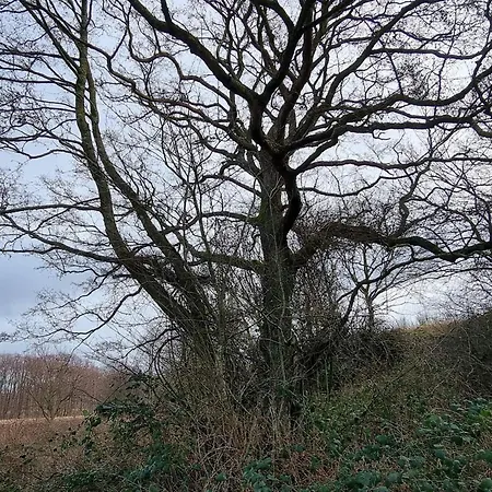 6 Person In Ebeltoft-by Traum Ferienhaus Ebeltoft