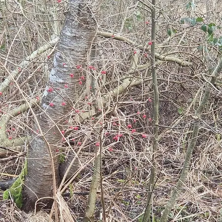 6 Person In Ebeltoft-by Traum * Ebeltoft