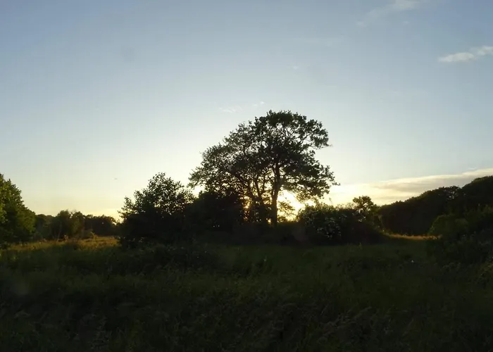 Vakantiehuis 6 Person In Ebeltoft-by Traum