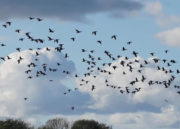 6 Person In Ebeltoft-by Traum *