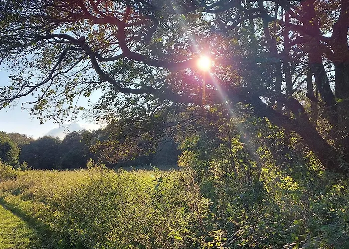 6 Person In Ebeltoft-by Traum Vakantiehuis *