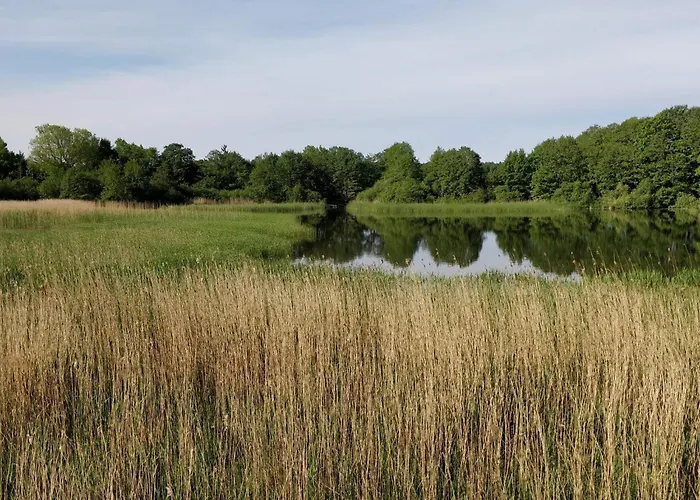 6 Person In Ebeltoft-by Traum * Ebeltoft