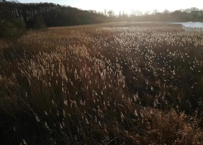 Vakantiehuis 6 Person In Ebeltoft-by Traum *