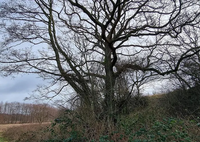 6 Person In Ebeltoft-by Traum Vakantiehuis Ebeltoft