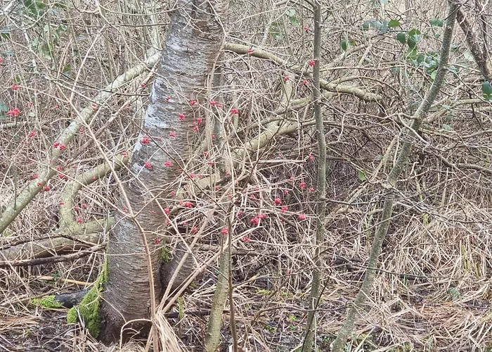 6 Person In Ebeltoft-by Traum * Ebeltoft